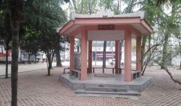 南阳学校爆料视频曝光事件,真相究竟如何？